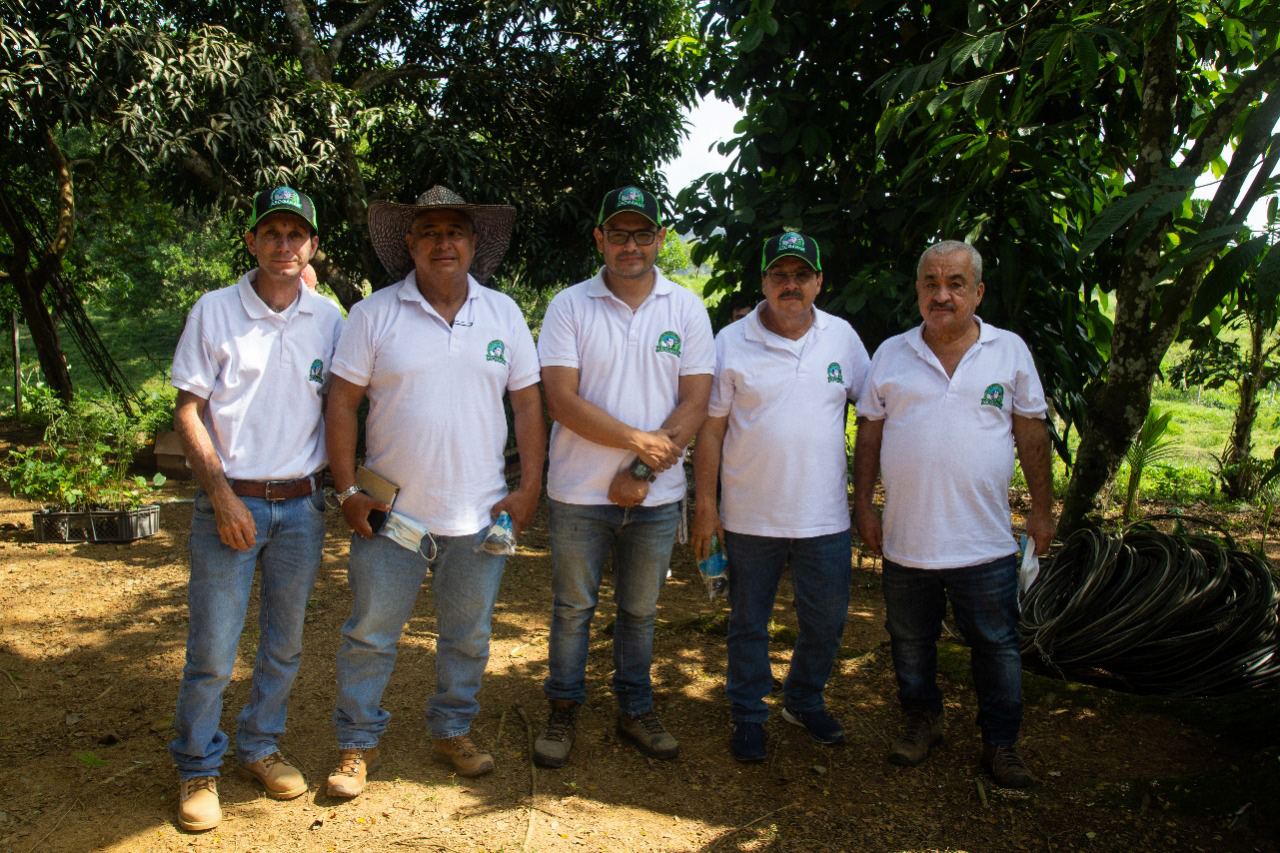 Junta directiva